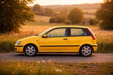 fiat-punto-vintage-route-champetre